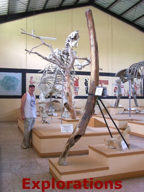 Museum bones & Charlie_WM