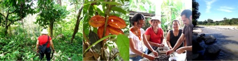 cocoa tour guatemala