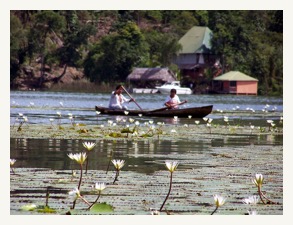 Rio Dulce lillies &#38; canoe