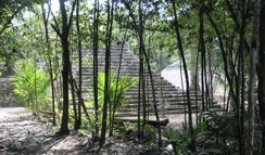 coba ruins temple