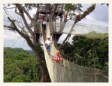 amazon rainforest tour canopy walkway
