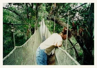 amazon rainforest tour image1
