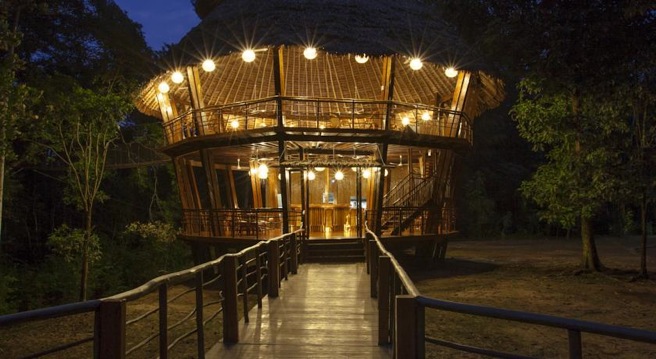treehouse lodge on amazon tour at night