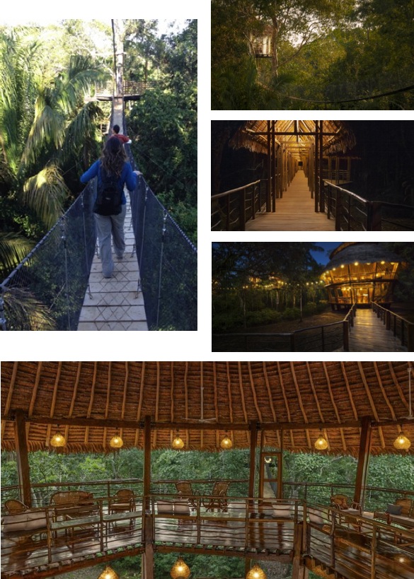 amazon treehouse lodge tour photos