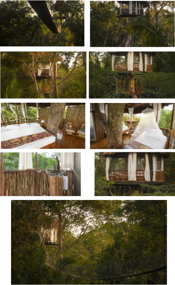 amazon treehouse lodge tree house cabins peru