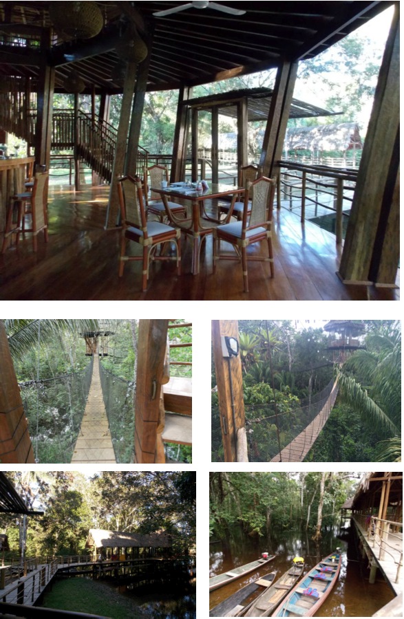 amazon treehouse lodge restaurant