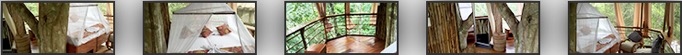 Treehouse Amazon Lodge #2