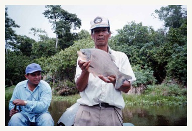 pacu fishing amazon