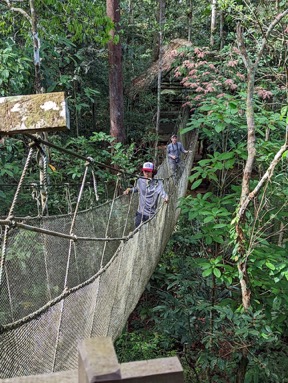 2022 Amazon canopy walkway Iquitos Peru 143505117