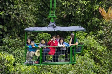 rainforest-adventure-atlantic-aerial-tram-tour-in-san-jos-482778
