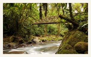 trails-bridge-over-magia-blanca costa rica travel