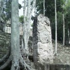 calakmul-stelae-stairs_WM