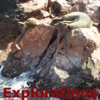 Peru South Coast Explorations - 036_WM