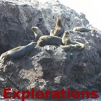 Peru South Coast Explorations - 039_WM