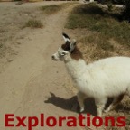 Peru South Coast Explorations - 169_WM