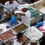 Seafood Market Panama City_WM