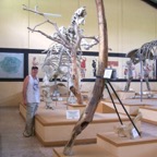 Museum bones & Charlie_WM