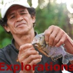 Amazon River rainforest tours and travel-28_WM