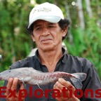 Amazon River rainforest tours and travel-29_WM