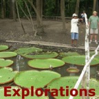 Amazon River rainforest tours and travel-56_WM